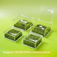 Mini Maceta de Musgo Acrílico Verde Hecha a Mano para Escritorio, Planta en Maceta Creativa para Oficina, Micro-Paisaje Curativo, Regalo Novedoso para Mesa de Jardín