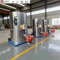 Chaudière à vapeur au charbon de bois de 0,3 à 0,5 tonne, machine de production de vapeur à biomasse bois LHS