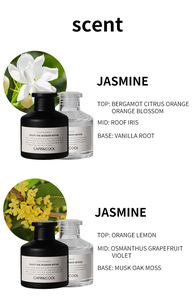 Bán Buôn Nhà Hương Thơm Nhãn Trắng Frosted Matte Màu Đen Reed Khuếch Tán 50 Ml - Product Image 6