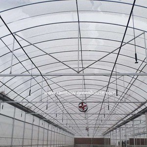 دفيئات نفقية زراعية متعددة الامتداد مستعملة دفيئات نفقية تجارية عالية - Product Image 3