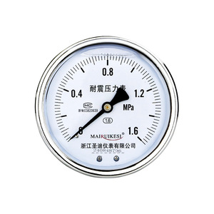 Customized YN100Z axial edgeless shock-resistant pressure <b>gauge</b>, m20*1.5 back-mounted universal oil/gas/water pressure <b>gauge</b>. - Product Image 1