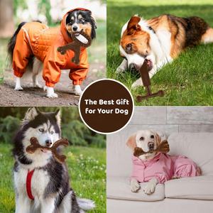 Produsen bentuk kustom tahan lama 4 buah Mainan Gigit anjing tulang garpu kayu tulang plastik untuk anak anjing kecil sedang besar penggunaan sehari-hari hadiah - Product Image 3