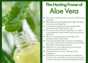 Aceite de <span class=keywords><strong>Aloe</strong></span> <span class=keywords><strong>Vera</strong></span> Orgánico para Labios - Aceite Portador 100% Puro y Natural de Planta de <span class=keywords><strong>Aloe</strong></span>, Prensado en Frío |   Precio al por Mayor, 1 Kg - Product Image 4