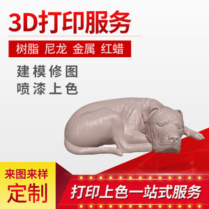 Modelos de Animales Personalizados, Piezas Impresas en 3D de Plástico, Prototipos Hechos a Mano, Producción en Pequeños Lotes - Product Image 5