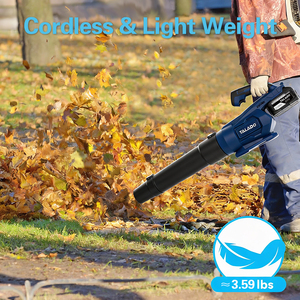 Soffiatore al Litio per Lavori Pesanti Progettato per Rimozione Polvere Industriale e Pulizia Sabbia del Terreno - Product Image 4