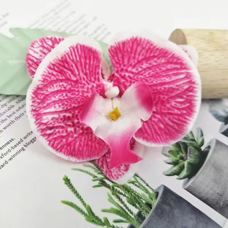 กุหลาบต้นแมดเด