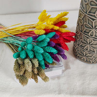 50pcs Bunga Rumput Pampas Kering Alami untuk Dekorasi Pernikahan, Bridal Shower, Pesta, Rumah, Natal, Wisuda, Paskah
