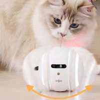Caméra interactive HD pour animaux de compagnie avec jouet à billes roulantes Moniteur domestique intelligent avec spot laser et mouvements d'animaux de compagnie Sons d'animaux de compagnie
