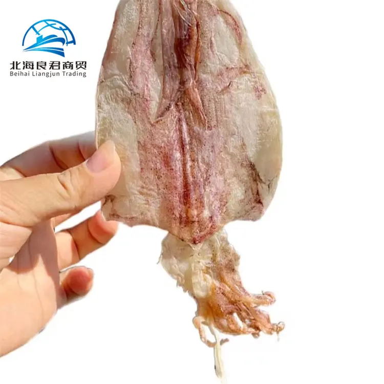 Competitive price ChinaManufacture Selling Vietnamese flavors export Fresh and healthy food dry seafood dried squid
