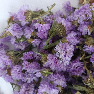 Las cabezas de flores secas naturales <span class=keywords><strong>no</strong></span> me olvides Capullos de flores <span class=keywords><strong>no</strong></span> me olvides <span class=keywords><strong>para</strong></span> flores decorativas artesanales DIY - Product Image 5