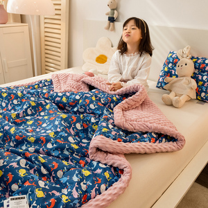 dolphin electric blanket