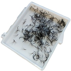 Top vente Ultra vitesse à la main 6D/1000 ventilateurs Promade doux coréen noir Extensions de cils beauté en gros - Product Image 5