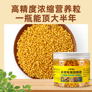 ปุ๋ยซีพาย ซักคูลเลนท์ สโลว์รีลีส 200 กรัม อาหารพืชแบบเม็ดสำหรับใบหนาและเพิ่มสีสัน - Product Image 2