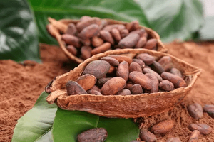 Cocoa <b>Bean</b> Peeling Machine Automatic <b>Cacao</b> Winnower Coffee <b>Bean</b> Skin Remover Machine Chocolate Small Size Machine Melting - Product Image 2