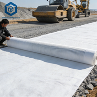 Toile de paillage non tissée blanche en PET pour la construction routière au Chili