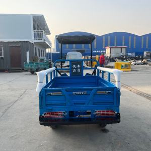 Venta Directa de Fábrica, Triciclo de Bajo <span class=keywords><strong>Consumo</strong></span> de Combustible, 60 km/h, con Asiento para Pasajero y Parabrisas - Product Image 3