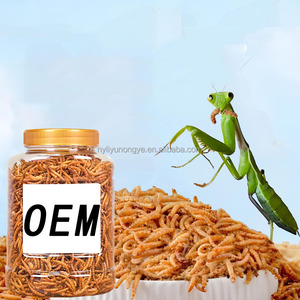 <span class=keywords><strong>Gusano</strong></span> <span class=keywords><strong>de</strong></span> <span class=keywords><strong>sangre</strong></span> seca <span class=keywords><strong>de</strong></span> buena venta <span class=keywords><strong>de</strong></span> <span class=keywords><strong>la</strong></span> mejor calidad para peces, pájaros, lagartos, animales CAMALEONES - Product Image 3