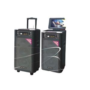 Altoparlante Portatile Professionale HoXen con Trolley, USB/SD/FM/<span class=keywords><strong>Ingressi</strong></span> per Auto/DVD/TV/Chitarra, 100W, Wireless, in Legno - Product Image 1