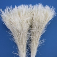 Plume de paon indienne naturelle lavée, 90-100 cm, pas chère, pour la décoration de costumes de carnaval, de danse et de spectacle DIY