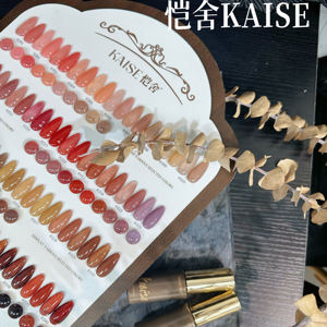 KAISE 2025 Beauty <span class=keywords><strong>Expo</strong></span> Nuevo 50 colores Color translúcido Nail Gel Set HEMA-Free TPO-Free Nail Art Gel UV no tóxico para salón de uñas - Product Image 3