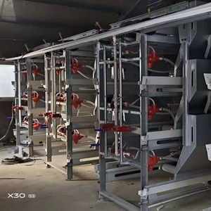 H tipi ünlü marka et tavuk Broiler tavuk otomatik içme besleme gübresi konveyör bant sistemi ile kafesleri yükselterek - Product Image 2