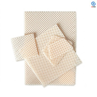 Attelle thermoplastique fixe pour pont nasal, patch en plastique, feuille plastique