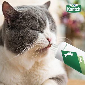 Private Label Suplemento Vitamínico Nutricional Saudável Gel Creme Cat <span class=keywords><strong>Dog</strong></span> <span class=keywords><strong>Food</strong></span> para Intestinos Estômago Premium Pet <span class=keywords><strong>Food</strong></span> - Product Image 4