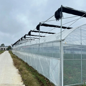 Serres agricoles multi-spans avec ventilation pare-soleil et systèmes hydroponiques recouvertes de films PE/PO à vendre - Product Image 5
