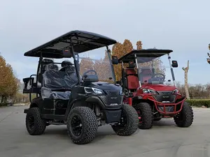 2024 Fabrikanten Groothandel Golfkar 2.4.6 Zitplaatsen Aanpasbare Luxe Elektrische Weg Golfkar Jacht Golfbuggy