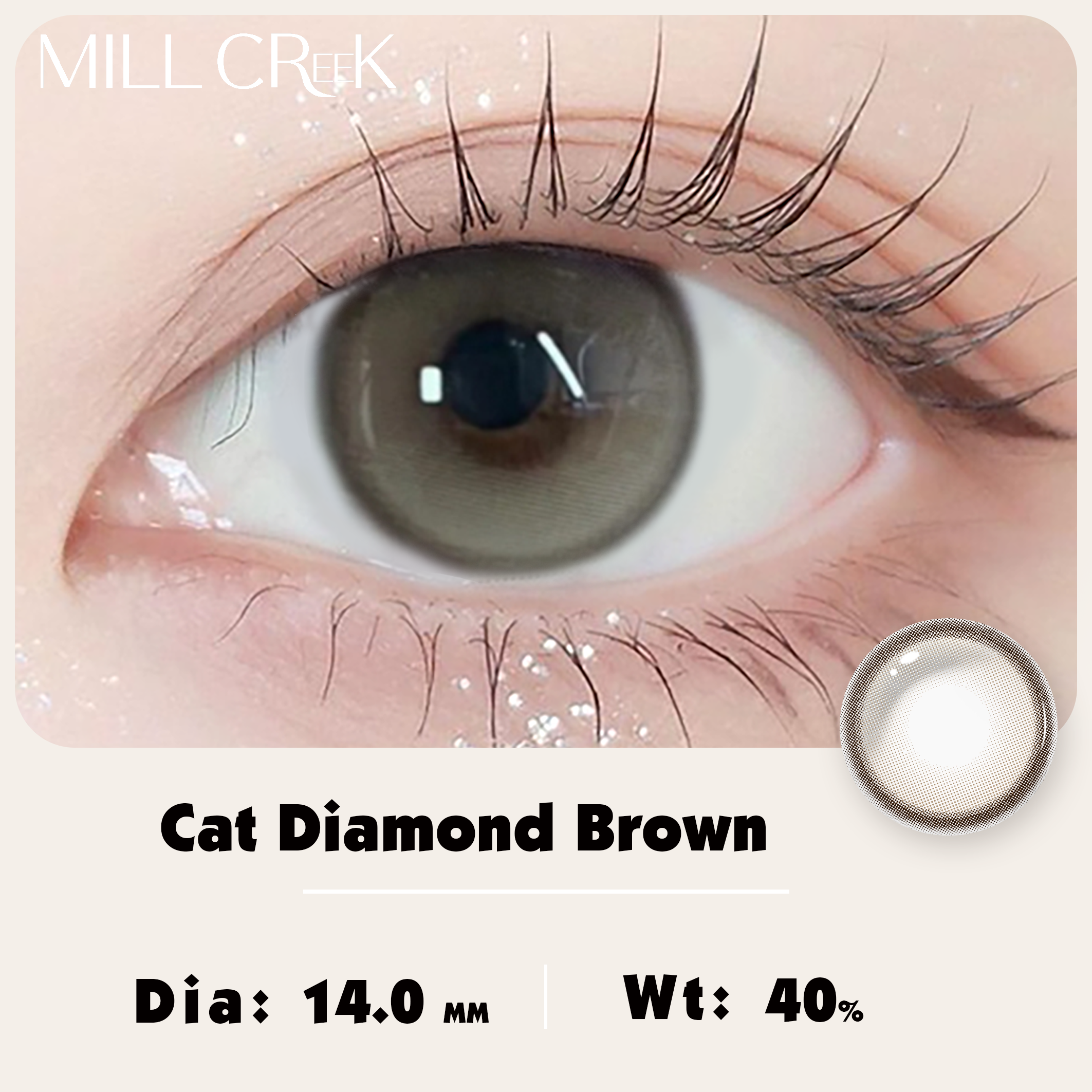 Chat diamant marron