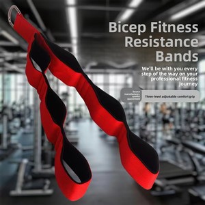 Équipement de fitness professionnel pour l'entraînement des biceps : machine à tractions à trois niveaux de résistance, accessoires pour machine à câbles, et - Product Image 6