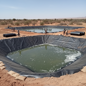 Géomembrane HDPE résistante aux UV et imperméable, doublure de bassin, épaisseur personnalisée pour l'exploitation minière et l'agriculture en Afrique - Product Image 2
