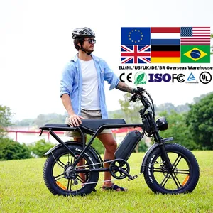 20 Zoll Elektro fahrrad Elektro Fett Reifen Fahrrad Top Fabrik OUXI V8 Fat Tire Bike Doppels ch eiben bremse Mountainbike Vintage