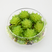 Plantes artificielles modernes, fausses plantes succulentes avec vase en verre, résistantes aux UV, pour la décoration de la maison, du bureau, de la table ou des étagères.