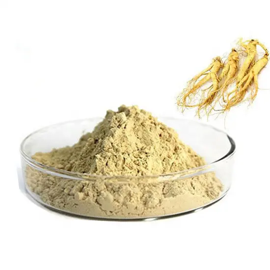 Ginseng Wortel Extract Koreaanse Panax Ginseng Wortel Extract 5%-80% Ginsenoside