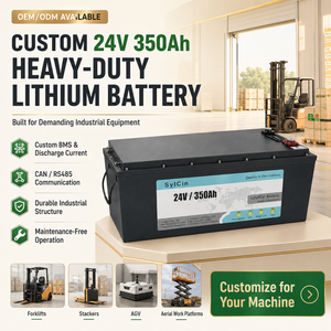 Pack de batteries personnalisé 12V 24V 48V, service OEM ODM, 6000 cycles, garantie 10 ans, prix direct usine - Product Image 5
