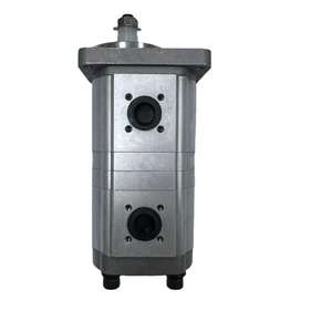 AZPFB -11-016/1.0 RCB2002MB Reemplazo de bomba de doble engranaje Piezas de maquinaria de construcción Bomba de pistón para modelo de excavadora - Product Image 2