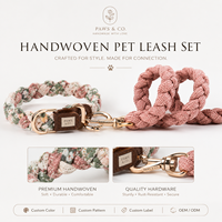 Kit d'accessoires pour animaux de compagnie haut de gamme tressé à la main pour chats, collier tissé imprimé floral, laisse en corde tressée rose assortie, étiquette en PU dorée