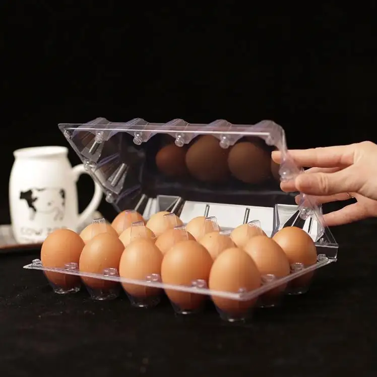 High Quality Plastic quail egg cartons quail egg tray with 18 holes