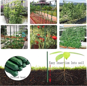 Intraoculaires de <span class=keywords><strong>Support</strong></span> de tomate recouvert de plastique, avec Tube en acier revêtu de plastique, <span class=keywords><strong>plantes</strong></span> <span class=keywords><strong>grimpantes</strong></span>, nouveauté - Product Image 6