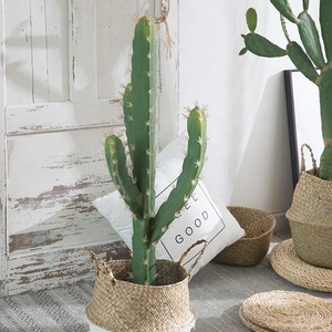 Piante Artificiali di <span class=keywords><strong>Cactus</strong></span> e Bonsai in Plastica - Decorazione Realistica Alta per Ufficio Resistente all'Acqua ed Ecologica - Product Image 2
