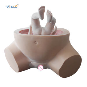 Modèle de formation avancée simulée de sage-femme pour les étudiants en médecine dans l'enseignement hospitalier - Product Image 1