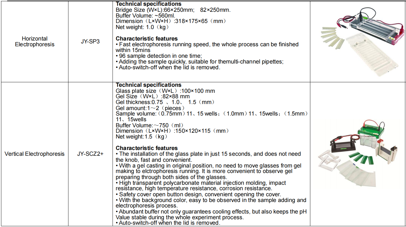 Vertical Gel Electrophoresis System With Electrophoresis