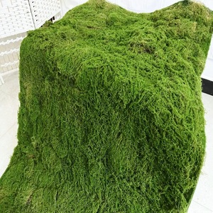 Vente directe d'usine tapis <span class=keywords><strong>de</strong></span> mousse artificielle <span class=keywords><strong>de</strong></span> grande taille pour la conception <span class=keywords><strong>de</strong></span> jardin nouvelles plantes <span class=keywords><strong>de</strong></span> verdure <span class=keywords><strong>de</strong></span> <span class=keywords><strong>gazon</strong></span> Moos pour la Saint-Valentin <span class=keywords><strong>de</strong></span> mariage - Product Image 4