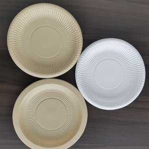 Assiettes rondes jetables Liyi en fibre de bambou écologiques, 50 pièces, compatibles micro-ondes et congélateur, biodégradables et compostables pour les fêtes - Product Image 5