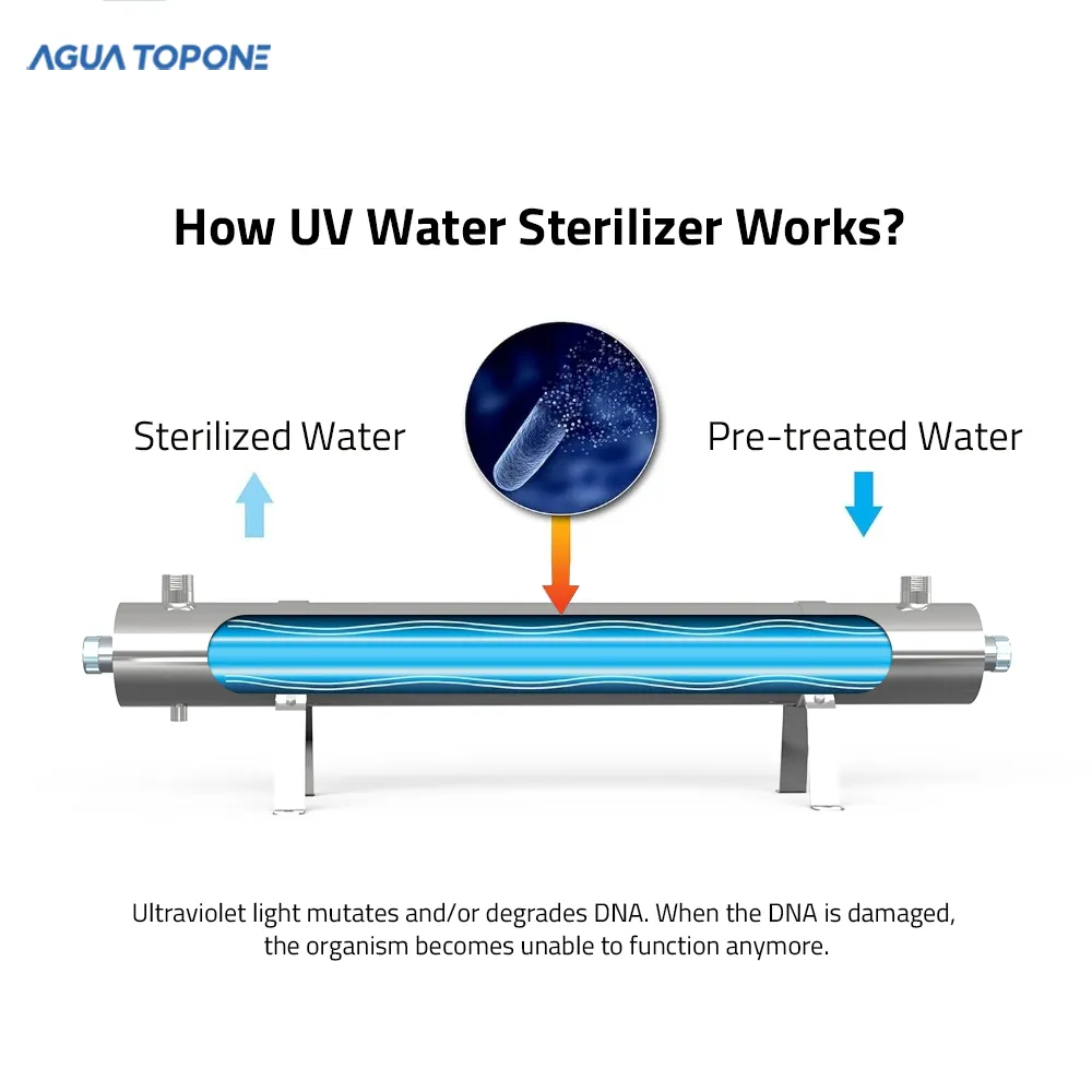 Filtre à eau physique 220v, traitement de l'eau efficace et stable pour l'équipement de traitement de l'eau UV d'approvisionnement en eau commercial