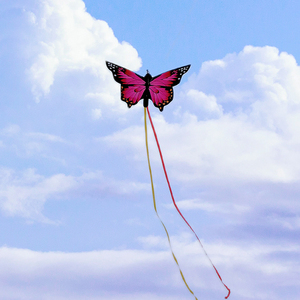 <span class=keywords><strong>Cerf</strong></span>-<span class=keywords><strong>volant</strong></span> papillon à longue queue pour enfants, facile à piloter, en polyester et fibre de verre, impression personnalisée, vente en gros - Product Image 2