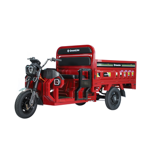 Tricycle de cargaison électrique 1000W 48V Tricycle électrique pour adultes à passagers ouverts - Product Image 5