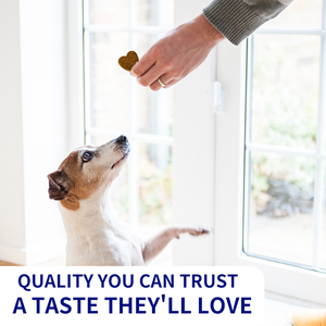 Suplemento Masticable Suave para Perros con Membrana de Cáscara de Huevo, Ácido Hialurónico y Cartílago, para Soporte y Lubricación Rápida de Articulaciones de Cadera, OEM Senior Advanced - Product Image 4