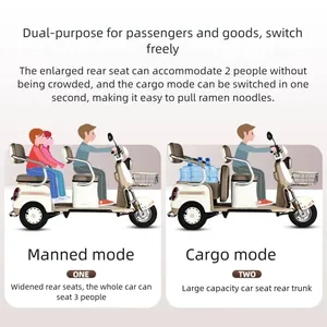 Triciclos Eléctricos Personalizados, Asiento Doble Confortable, 3 Ruedas <span class=keywords><strong>de</strong></span> Baja Velocidad, Seguros para Personas Mayores, Transporte Familiar, Transporte <span class=keywords><strong>de</strong></span> Niños, 3 Colores. - Product Image 2